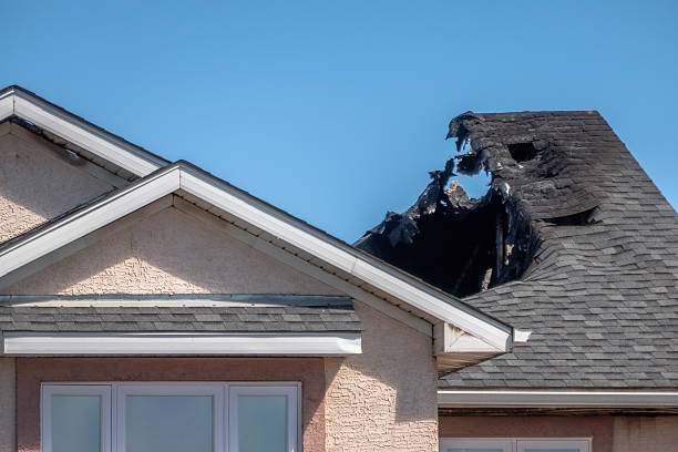 Top rated local Fire Damage Removal specialists in Texas, TX